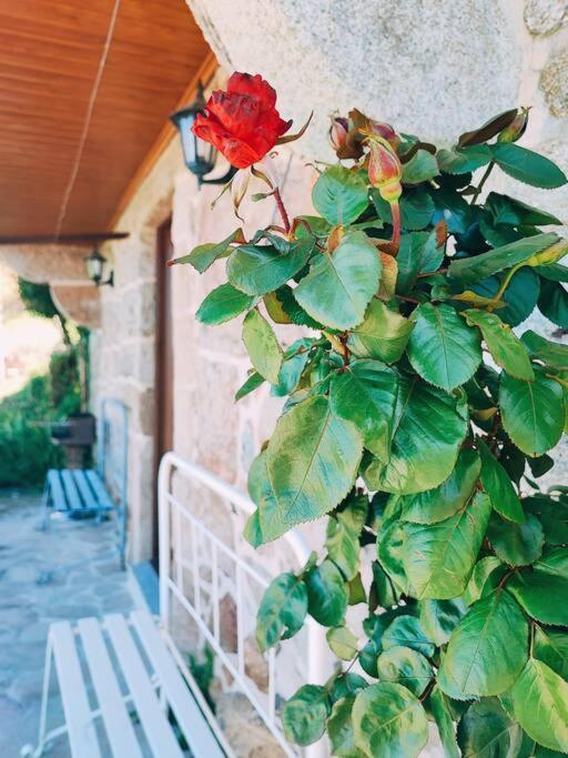 فيلا Casa Cabreiros De Baixo Melgaço المظهر الخارجي الصورة